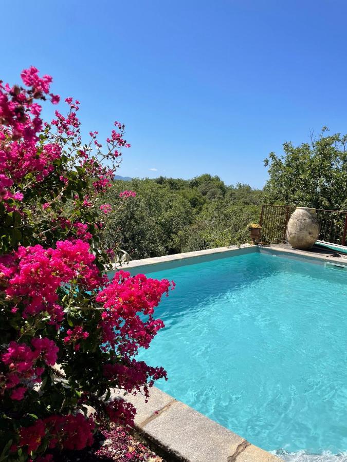 Le Petit Mas Bed & Breakfast Vogue Eksteriør bilde