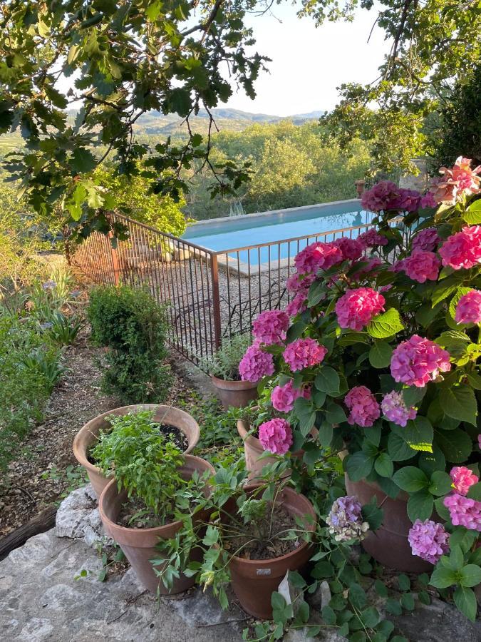 Le Petit Mas Bed & Breakfast Vogue Eksteriør bilde