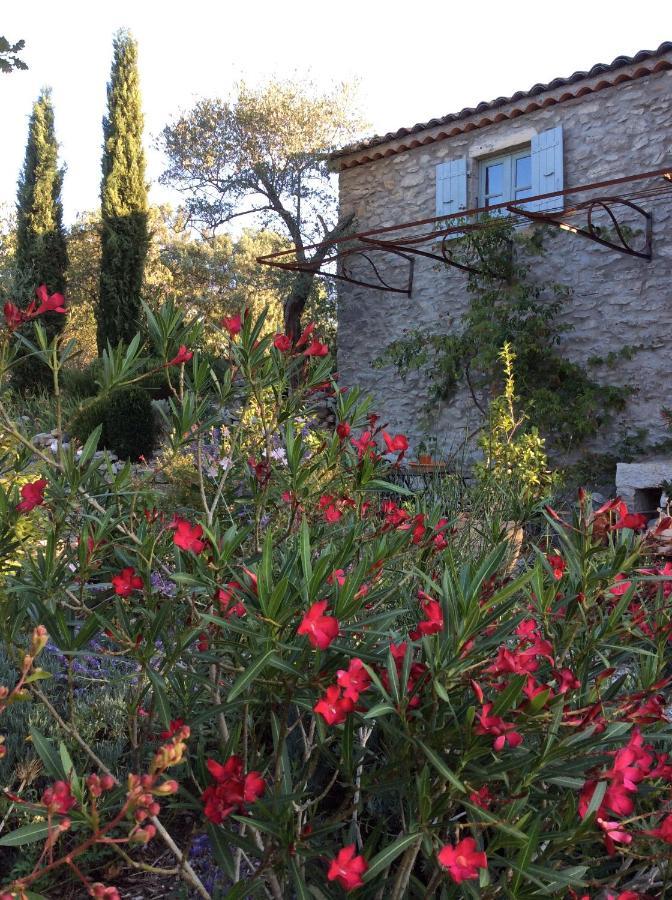 Le Petit Mas Bed & Breakfast Vogue Eksteriør bilde