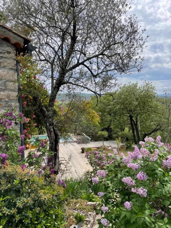 Le Petit Mas Bed & Breakfast Vogue Eksteriør bilde